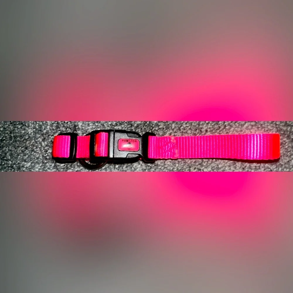 🎉HOST PICK 🎉 Hot Pink Dog Collar - Picture 1 of 7